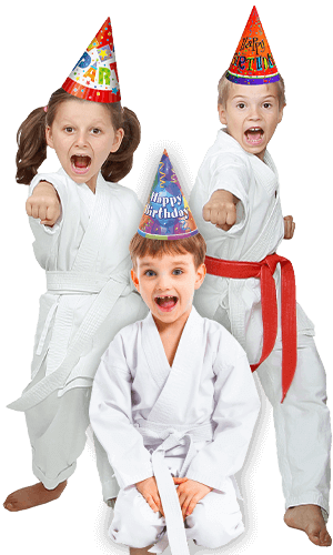 Martial Arts Birthday Party for Kids in Virginia Beach VA - Birthday Punches Page Banner